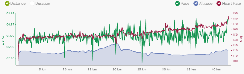 endomondo viini maraton